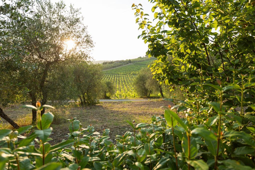 Tenuta Di Monaciano Ponte A Bozzone Kültér fotó