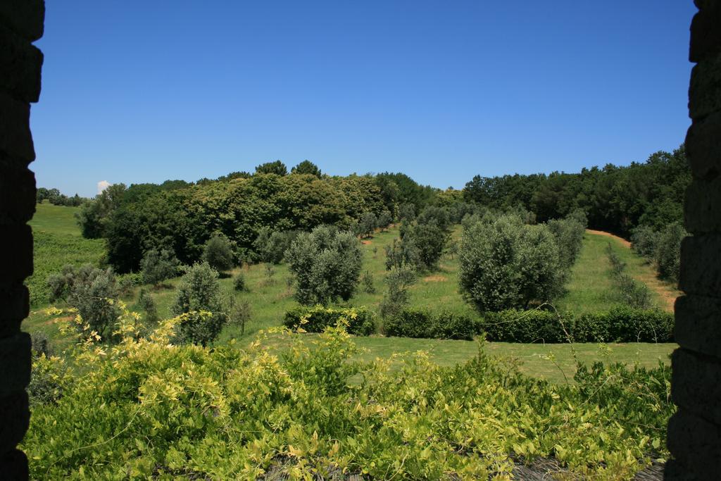 Tenuta Di Monaciano Ponte A Bozzone Szoba fotó