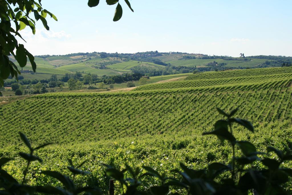 Tenuta Di Monaciano Ponte A Bozzone Kültér fotó