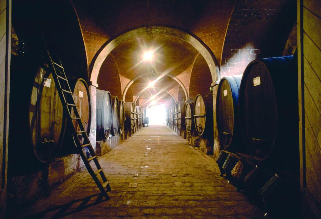 Tenuta Di Monaciano Ponte A Bozzone Kültér fotó
