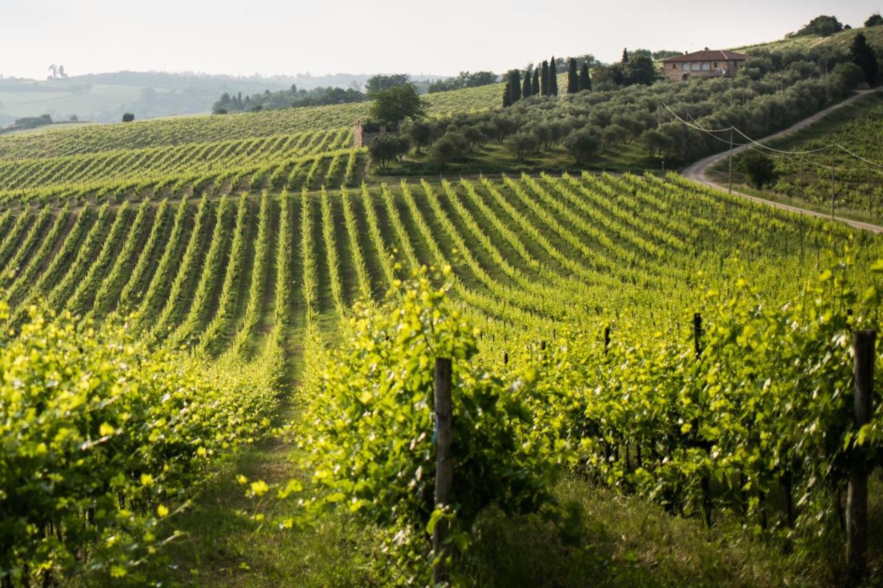 Tenuta Di Monaciano Ponte A Bozzone Kültér fotó
